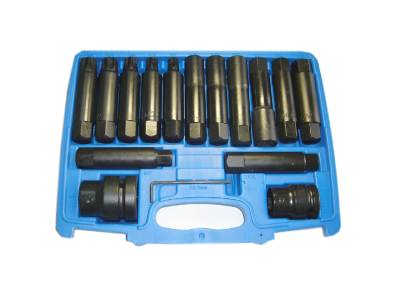 16 PCS 1" & 3/4" DR. INSERT BIT SOCKET SET