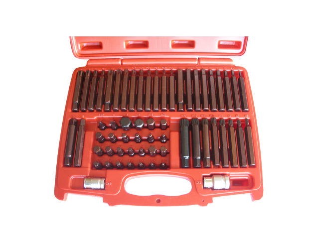 60 PCS POWER BIT SET (HEX, SPLINE, TORX, SQUARE, RIBE, SLOTTED, PHILLIP)