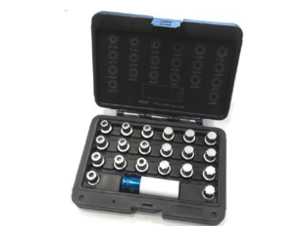 21PCS BMW WHEEL LOCK SCREW SOCKET SET