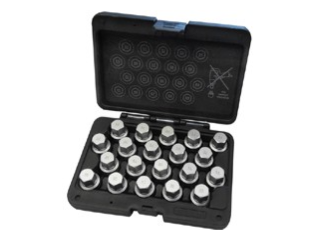 20PCS PORSCHE WHEEL LOCK SCREW SOCKET SET
