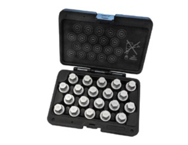20PCS BMW WHEEL LOCK SCREW SOCKET SET